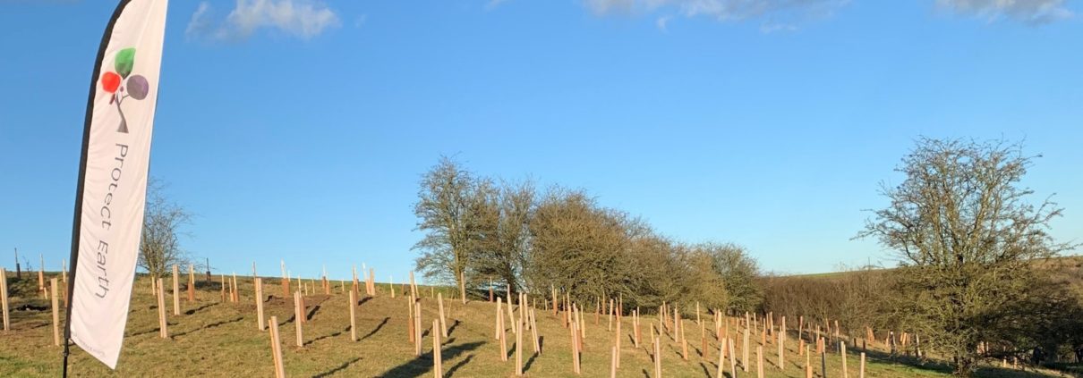 Our tree planting trip